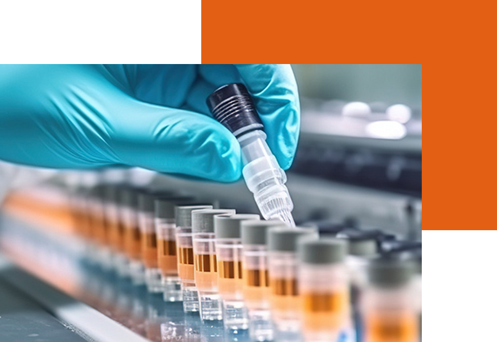 捏头熊自主研发生产工厂