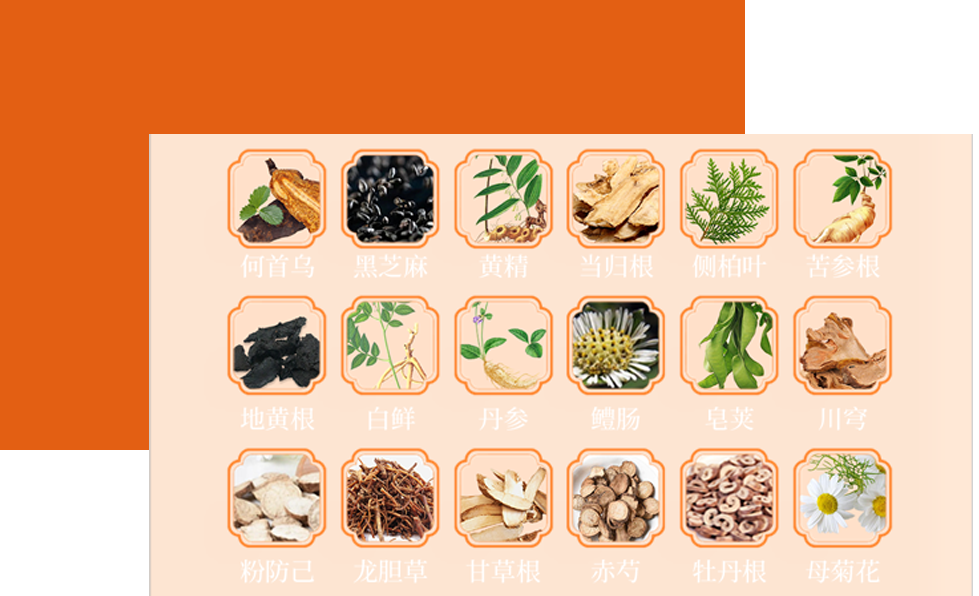 中药草本精华+中医精华